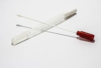 Tampone Vaginale (con Eventuale Antibiogramma a Pagamento Presso La Clinica) Empoli